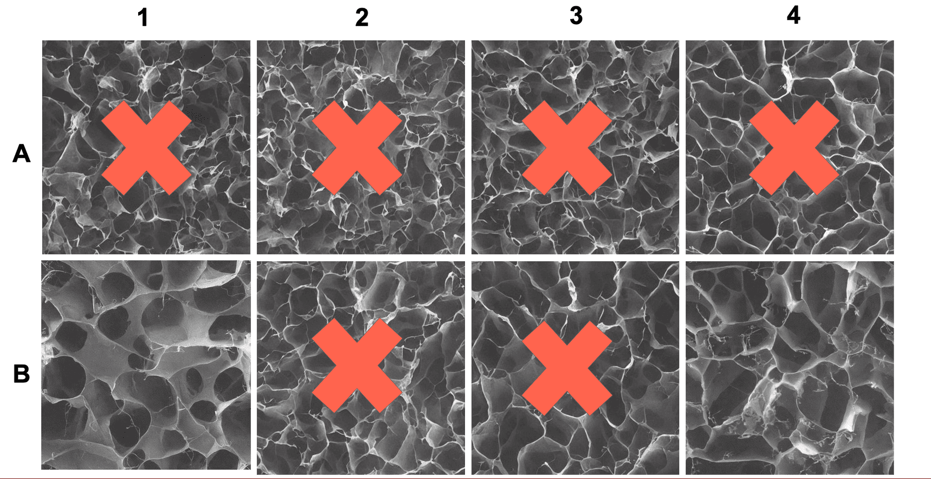 Answer Image - SEM Game